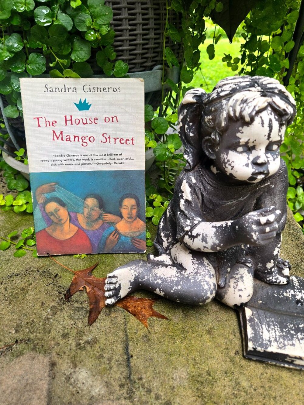 The House on Mango Street by Sandra Cisneros (Vintage Contemporaries Paperback)